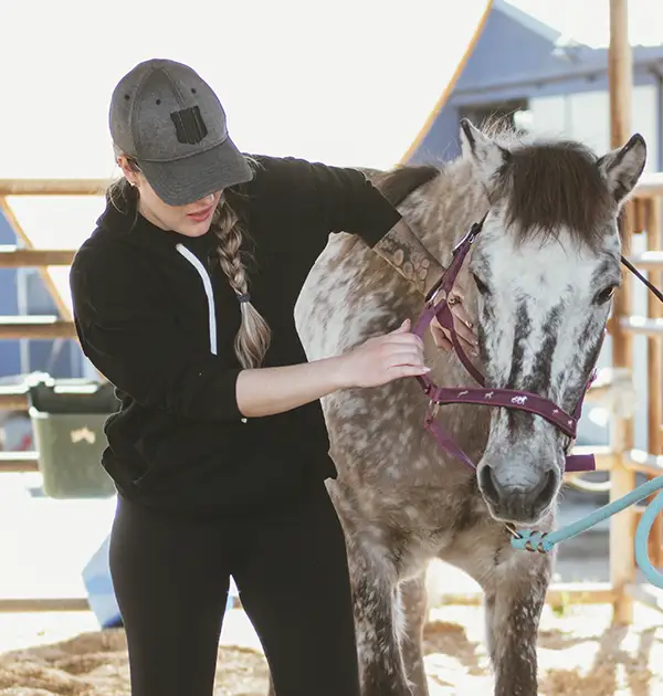 Dr. Haller performing hands-on horse chiropractic care in Scottsdale