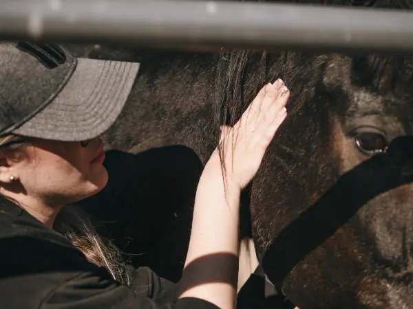 Dr. Haller performing on-site equine chiropractic care in Scottsdale, Arizona